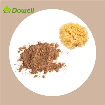 Prášek extraktu z Tremella